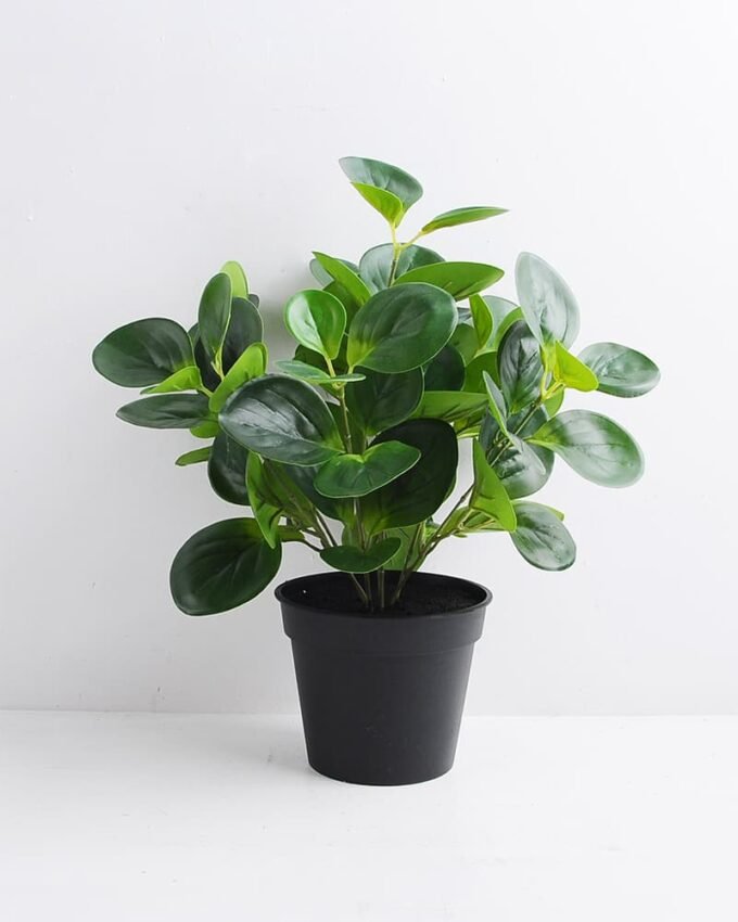 Artificial Plant 31*31*36cm Peperomia in Plastic Pot GS-03319364