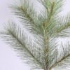 Artificial Plant 34*67CM Pine Needle Spray GS-57519029CONTI