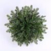 Artificial Plant 36*36CM Pine needle GS-56919031