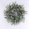 Artificial Plant D:60*11CM Pine needle&berry wreath GS-13519003