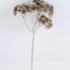 Artificial Plant 15*30cm  Plastic Flower Spray*5 GS-54019080-J1