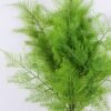 Artificial Plant 25*70CM SINGLE FERN BUSH *14 GS-56719009