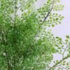 Artificial Plant 25*70CM SINGLE FERN BUSH *17 GS-56719005