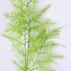 Artificial Plant 20*83CM SINGLE FERN SPRAY *3 GS-56719006