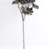 Artificial Plant 26*65cm Succulent*5 GS-47119016-H1