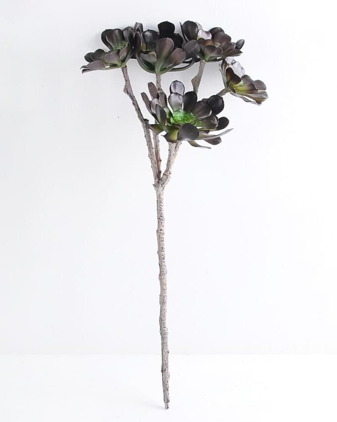 Artificial Plant 26*65cm Succulent*5 GS-47119016-H1