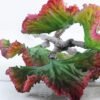 Artificial Plant 20*54cm Succulent*5 GS-47119022