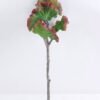 Artificial Plant 20*54cm Succulent*5 GS-47119022