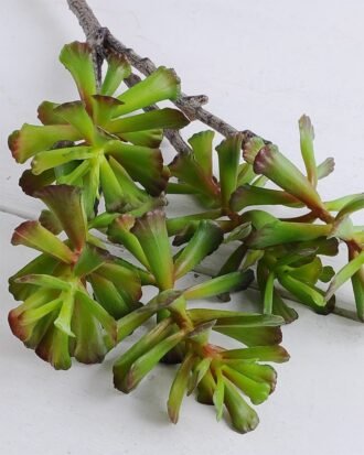 Artificial Plant 18*67cm Succulent*5 GS-47119026
