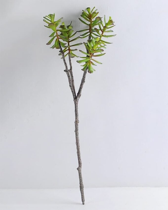 Artificial Plant 18*67cm Succulent*5 GS-47119026