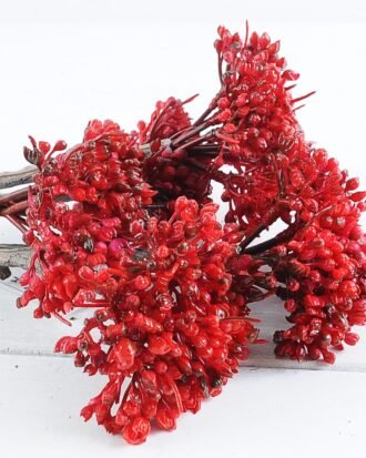 Artificial Plant 20*64cm Succulent*5 GS-47119027-R1