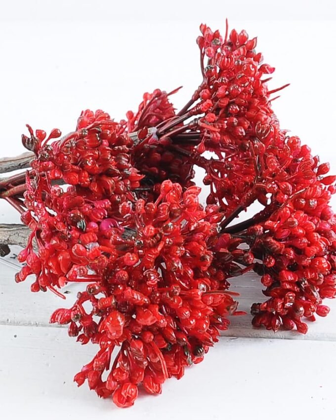 Artificial Plant 20*64cm Succulent*5 GS-47119027-R1