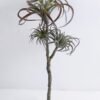 Artificial Plant 24*54cm Tillandsia usneoides*3 GS-47119031-G2
