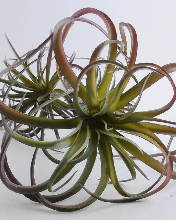Artificial Plant 24*54cm Tillandsia usneoides*3 GS-47119031-G2