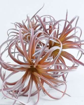 Artificial Plant 17*36cm Tillandsia usneoides*3 GS-47119032-P1