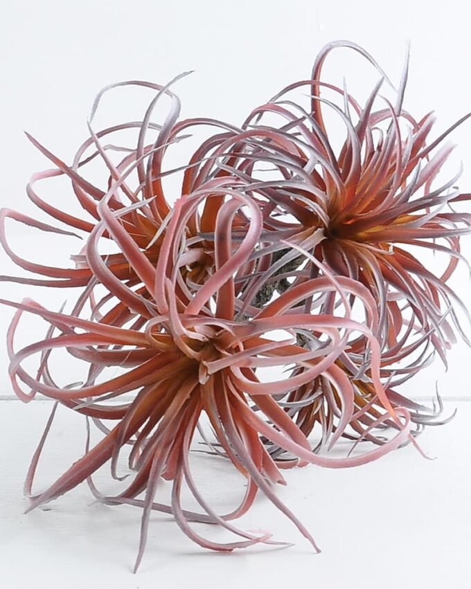 Artificial Plant 27*54cm Tillandsia usneoides*5 GS-47119017-P1