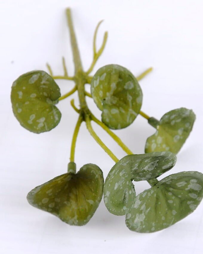 Artificial Plant 6.5*12.5CM hydrocotyle verticillata GS-47119035-G1