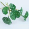 Artificial Plant 6.5*12.5CM hydrocotyle verticillata GS-47119035-G2