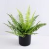 Artificial Plant 34*34*30cm leaf in Plastic pot GS-03319396