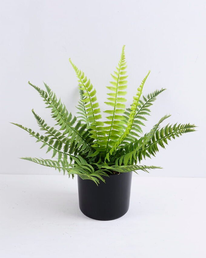 Artificial Plant 34*34*30cm leaf in Plastic pot GS-03319396