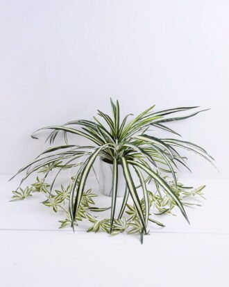 Artificial Plant 58*58*55cm  lefa in  Cement pot GS-03319394