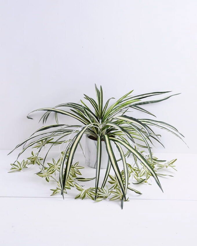Artificial Plant 58*58*55cm  lefa in  Cement pot GS-03319394