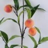 Artificial Plant 20*95CM peach spray GS-48719002