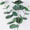 Artificial Plant 18*86CM single eucalyptus spray*4 GS-15419041-G1