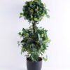 Artificial Tree W:26*H:80CM Iv Leaf In Plastic Pot GS-3300126A