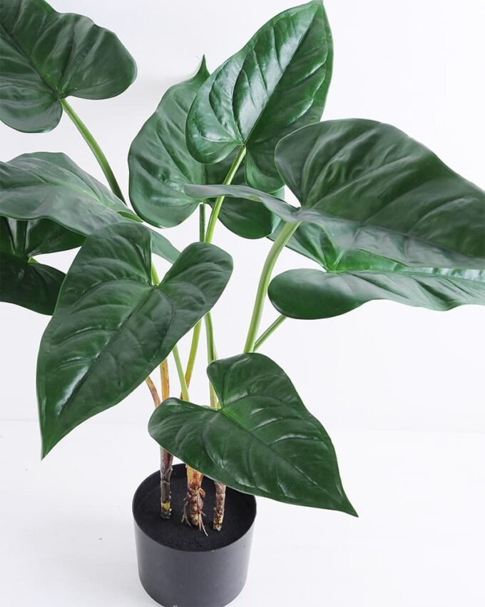 Artificial Tree 83*83*70cm Anthurium leaf in Plastic pot GF-14219004
