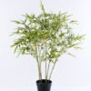 Artificial Tree 78*70*100CM Bamboo in plastic pot/lvs810 GS-26620007