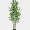 Artificial Tree 72*66*146CM Bamboo tree in the plastic pot/lvs825 GS-30419086 1 Artificial Tree 72*66*146CM Bamboo tree in the plastic pot/lvs825 GS-30419086