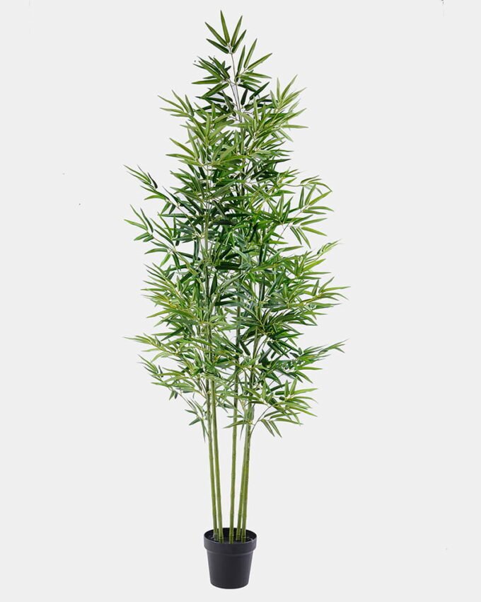 Artificial Tree 72*66*146CM Bamboo tree in the plastic pot/lvs825 GS-30419086 1 Artificial Tree 72*66*146CM Bamboo tree in the plastic pot/lvs825 GS-30419086