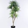 Artificial Tree 52*58*115CM Braziletto in plastic pot/lvs460 GS-26620006