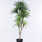 Artificial Tree 52*58*115CM Braziletto in plastic pot/lvs460 GS-26620006