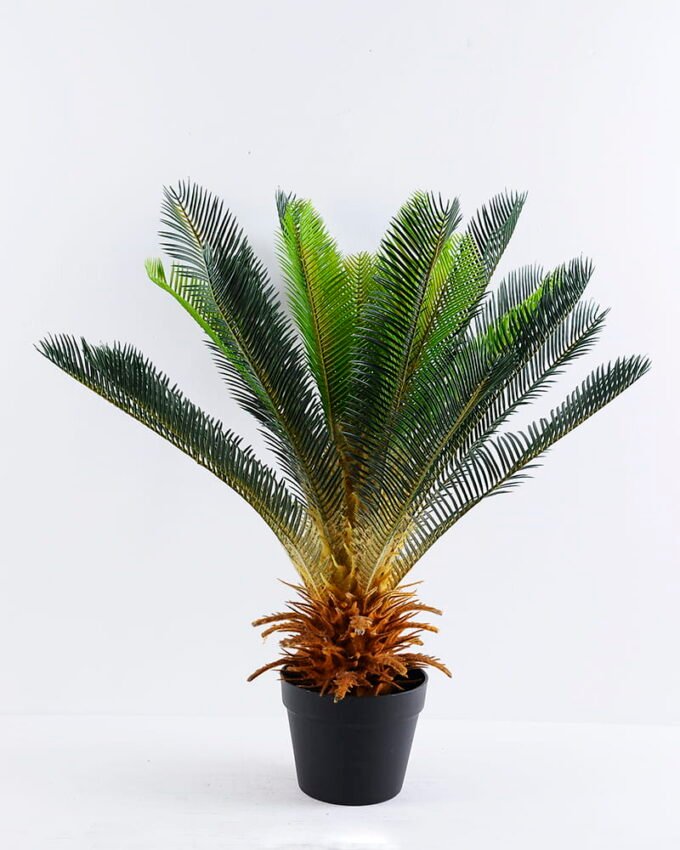 Artificial Tree 64*55*73CM Cycas in plastic pot/lvs28 GS-26620001 1 Artificial Tree 64*55*73CM Cycas in plastic pot/lvs28 GS-26620001