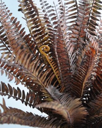 Artificial Tree 35*35*38CM Fern in Pot GS-06919068