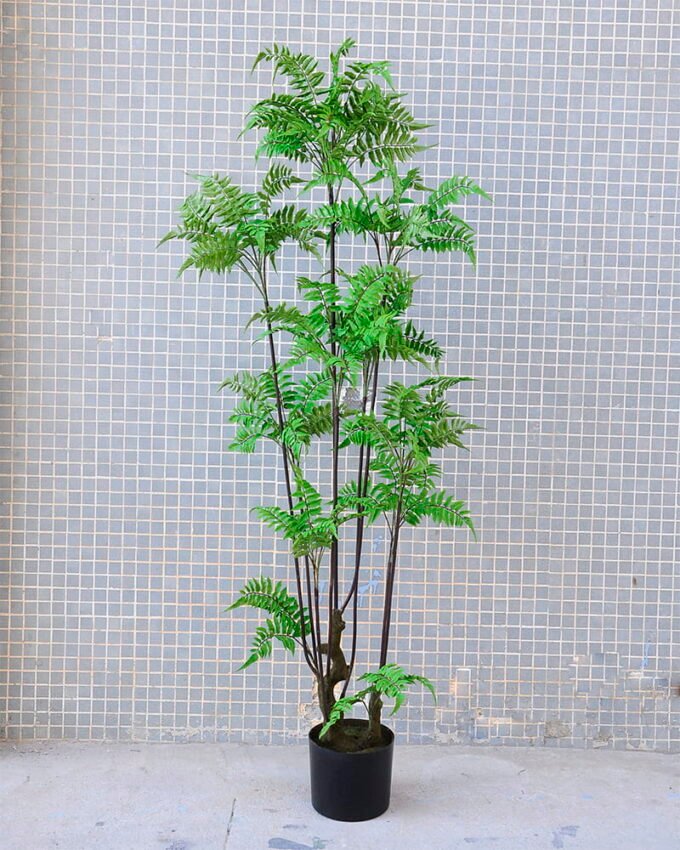 Artificial Tree 54*57*150CM Fern leaf tree GS-56719011CONTI 1 Artificial Tree 54*57*150CM Fern leaf tree GS-56719011CONTI