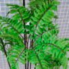 Artificial Tree 54*57*150CM Fern leaf tree GS-56719011CONTI 2 Artificial Tree 54*57*150CM Fern leaf tree GS-56719011CONTI