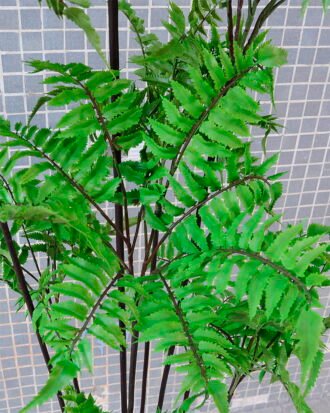 Artificial Tree 54*57*150CM Fern leaf tree GS-56719011CONTI Tree&Plant YeahFlower is one of Chinese leading OEM manufacturers and exporters , supplying the silk flowers, wholesale artificial trees Artificial Tree 54*57*150CM Fern leaf tree GS-56719011CONTI