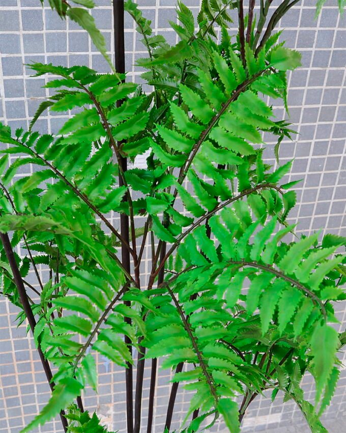 Artificial Tree 54*57*150CM Fern leaf tree GS-56719011CONTI 2 Artificial Tree 54*57*150CM Fern leaf tree GS-56719011CONTI