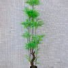 Artificial Tree 61*55*186CM Fern leaf tree GS-56719012CONTI 1 Artificial Tree 61*55*186CM Fern leaf tree GS-56719012CONTI