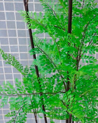 Artificial Tree 66*57*150CM Fern leaf tree GS-56719013CONTI Tree&Plant YeahFlower is one of Chinese leading OEM manufacturers and exporters , supplying the silk flowers, wholesale artificial trees Artificial Tree 66*57*150CM Fern leaf tree GS-56719013CONTI
