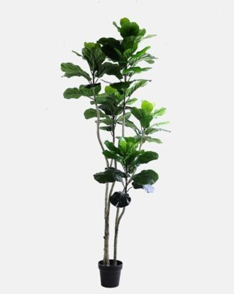 Artificial Tree 78*80*184CM Ficus in the plastic pot/lvs85 GS-30419081