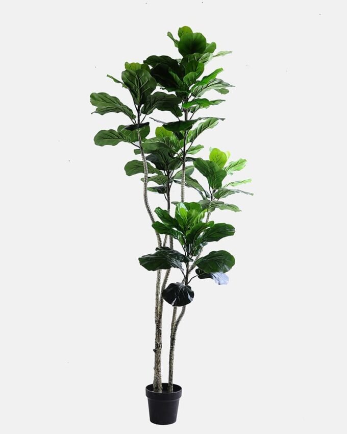 Artificial Tree 78*80*184CM Ficus in the plastic pot/lvs85 GS-30419081