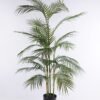 Artificial Tree 81*71*130cm Kwai leaves in plastic pot GF-07219005