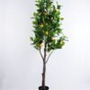 Artificial Tree 52*51*150cm Lemon tree in plastic pot GS-43419032
