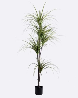Artificial Tree 90*105*185CM POTTED DRACAENA GS-58419001