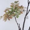 Artificial Tree 70*160CM  POTTED MAPLE LEAVES GS-39119038
