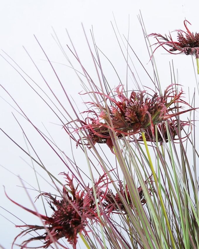 Artificial Tree 56*51*72CM Plastic grass in pot GS-45719037-R1